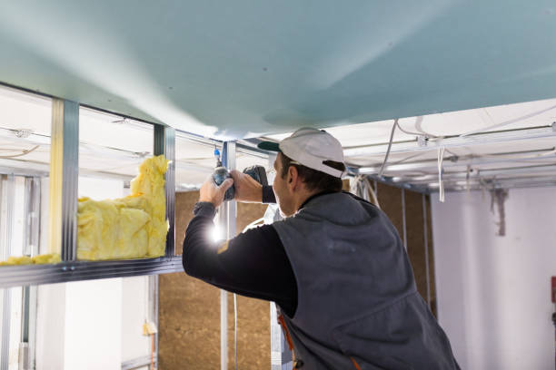 Best Specialized Insulation Services in Auburn, WA