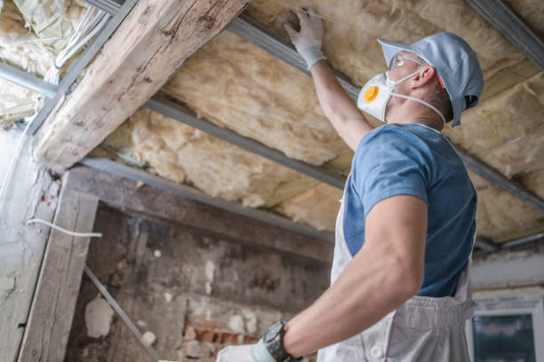 Best DIY Insulation Kits and Guidance in Auburn, WA